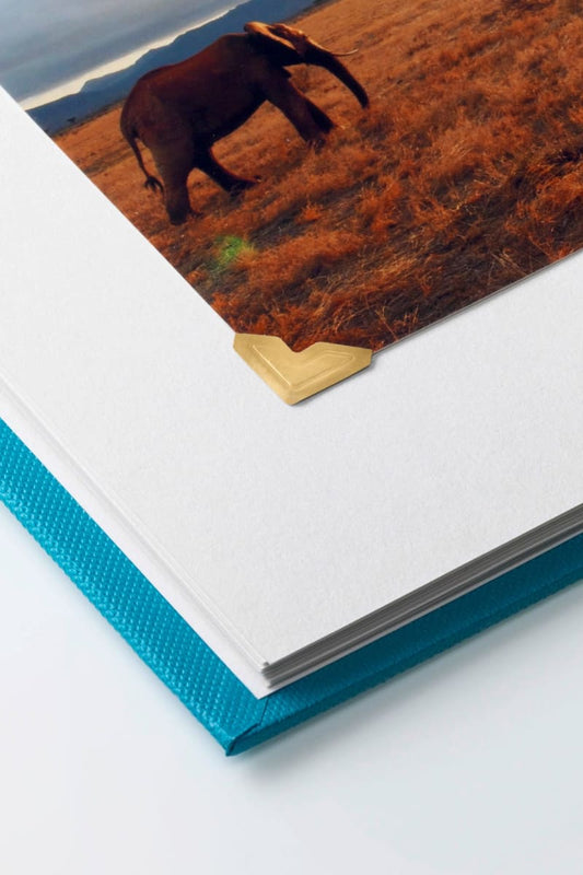 Fotoecken Gold, 168 St